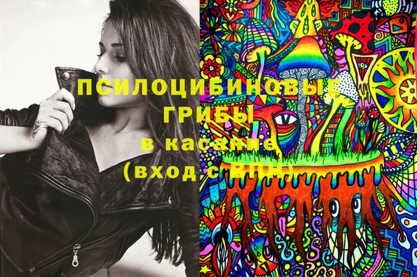 прущий лед Арсеньев