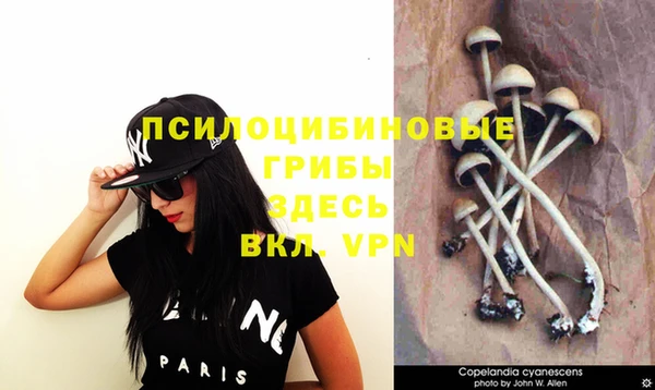 мяу мяу кристалл Армянск