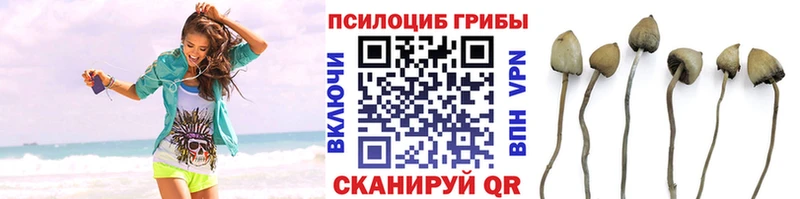 Псилоцибиновые грибы Magic Shrooms  Тында 